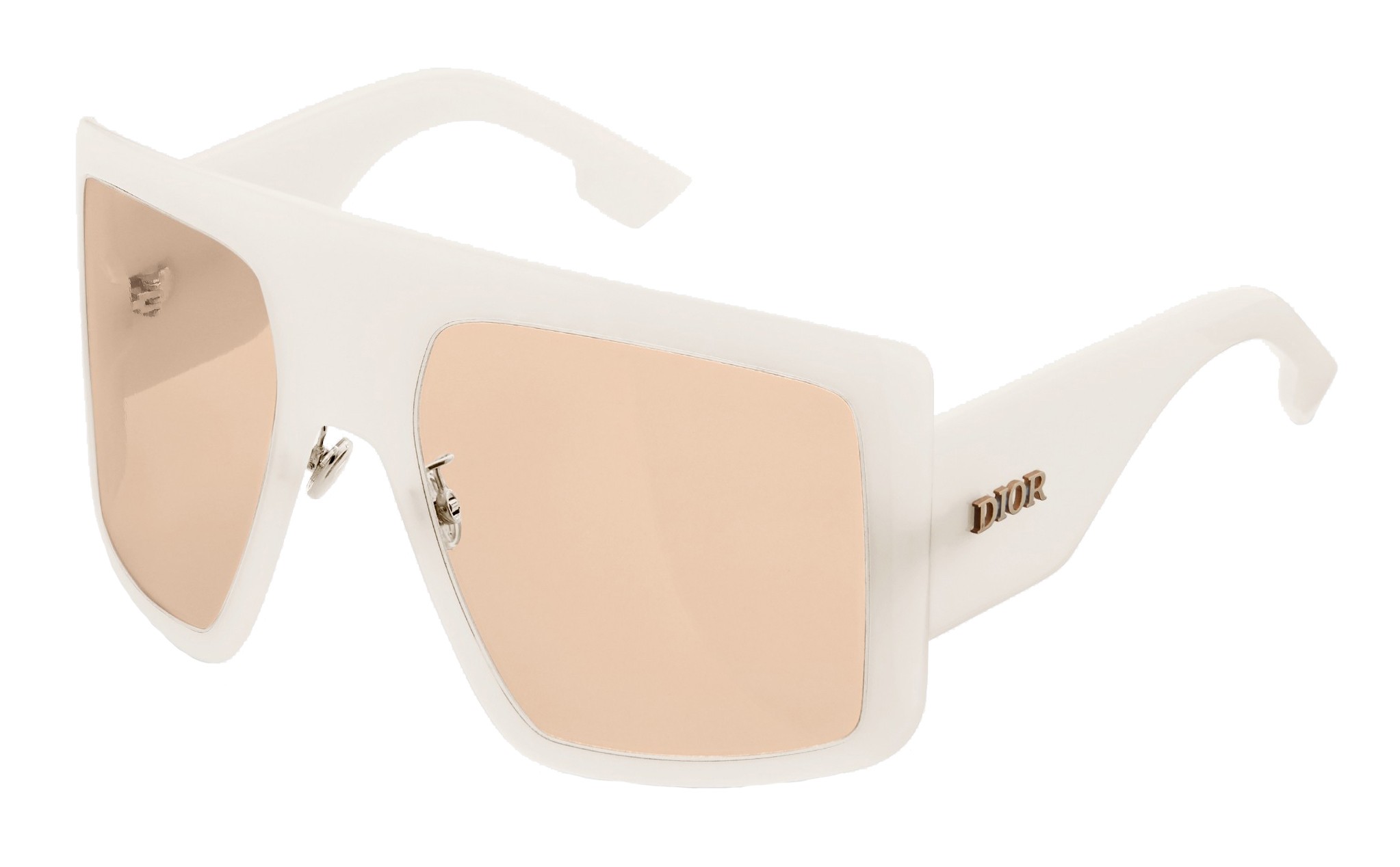dior oversized sunglasses 2019