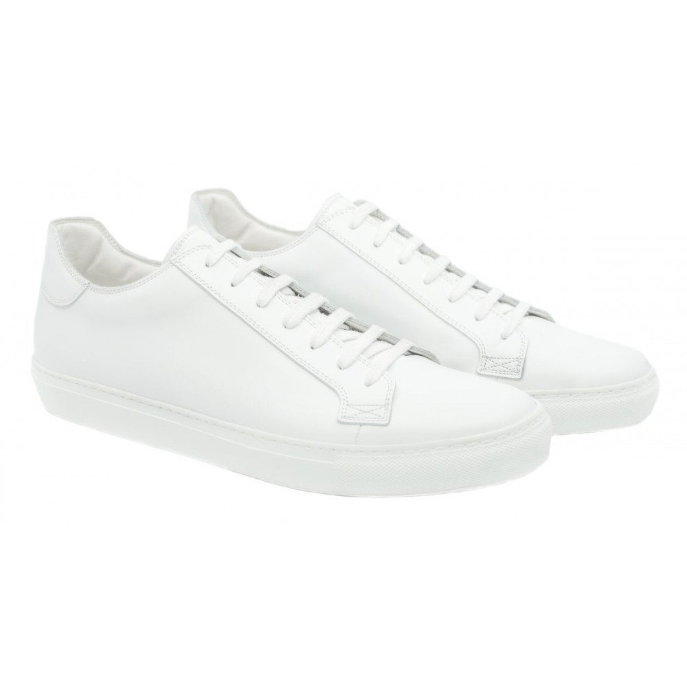 Buy Eego Italy Stylish Sneakers - MH-1-6 White at Amazon.in