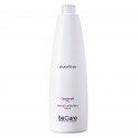 Everline - Hair Solution - Anti Forfora - Dry Shampoo Forfora Secca - BeCare - Professional Color Line - 1000 ml