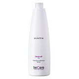 Everline - Hair Solution - Anti Dandruff - Dry Dandruff Shampoo - BeCare - Professional Color Line - 1000 ml