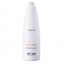 Everline - Hair Solution - Sebo Regulators - Oil Control Shampoo - BeCare - Professional Color Line - 1000 ml