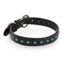 B Wilde Collection - Cabo Collar - Turquoise - Cabo Collection - Leather Collar - High Quality Luxury