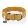 B Wilde Collection - Set Tango - Giallo Toscana - Collare e Guinzaglio Tango - Tango Collection - Collare in Pelle - Alta Qualit