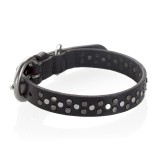 B Wilde Collection - Sparky Collar - Sparky Collection - Leather Collar - High Quality Luxury