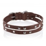 B Wilde Collection - Set Cairo - Biscuit - Collar & Leash - Cairo Collection - Leather Collar - High Quality Luxury
