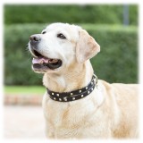 B Wilde Collection - Set Cairo - Biscuit - Collar & Leash - Cairo Collection - Leather Collar - High Quality Luxury