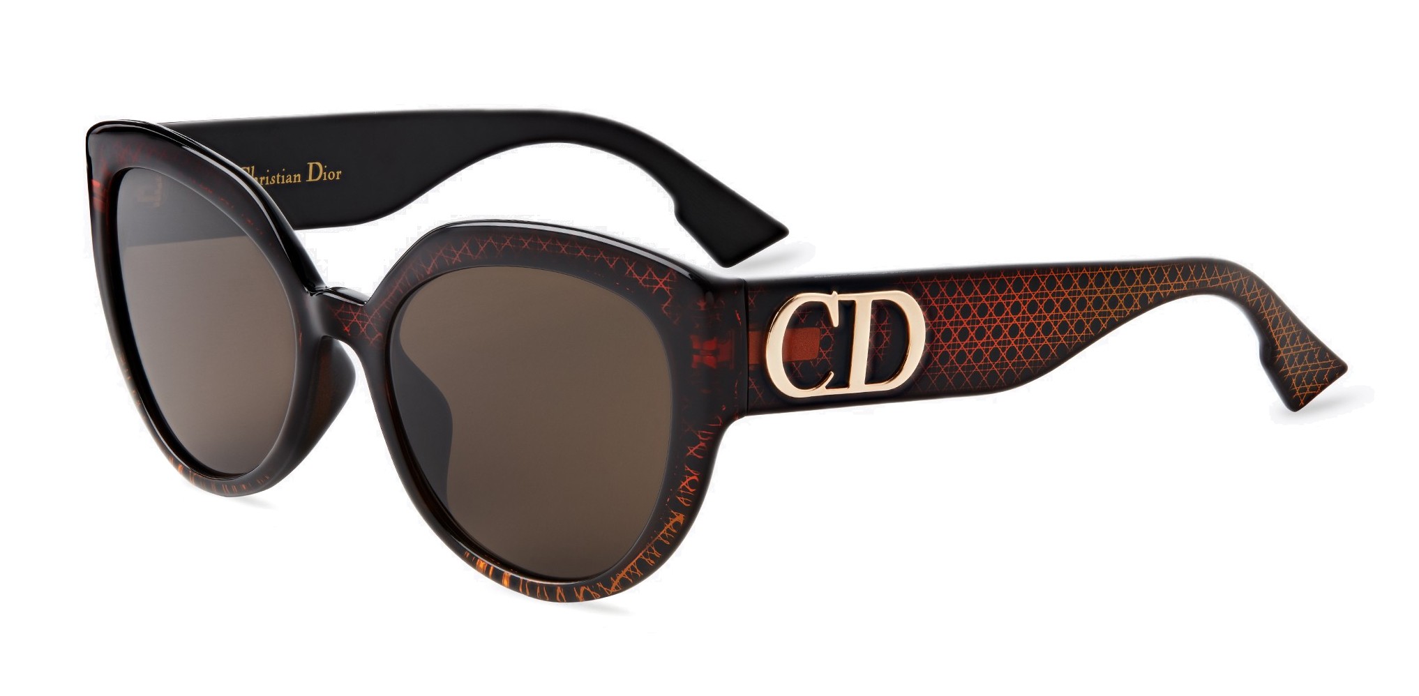 Dior - Sunglasses - DDiorF - Brown 