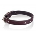 B Wilde Collection - Set Milo - Bordeaux - Collar & Leash - Milo Collection - Leather Collar - High Quality Luxury