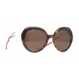 Balenciaga - Hybrid D-Frame Butterfly Sunglasses - Brown Chocolate - Sunglasses - Balenciaga Eyewear