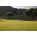 Allegroitalia Elba Golf - Exclusive Elba Experience - Golf Club - 3 Days 2 Nights