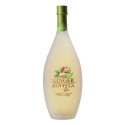 Bottega - Ginger - Liquore Bottega Bio allo Zenzero - Liquori e Distillati