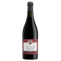 Acetaia Sereni - "Attilio" - Lambrusco Grasparossa di Castelvetro D.O.P. Dry - Red Wines