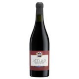Acetaia Sereni - "Attilio" - Lambrusco Grasparossa di Castelvetro D.O.P. Dry - Red Wines