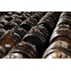 Acetaia Sereni - Tour Classico - Aceto Balsamico di Modena D.O.P. - Esperienze - Visita Guidata e Degustazione - In Giornata