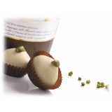 Vincente Delicacies - Almond Cookies with Sicilian Pistachios and Covered with Fine White Chocolate - Cylindrical Box