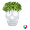 Qeeboo - Mexico Planter and Champagne Cooler - Traslucido - Qeeboo by Studio Job - Arredamento - Casa