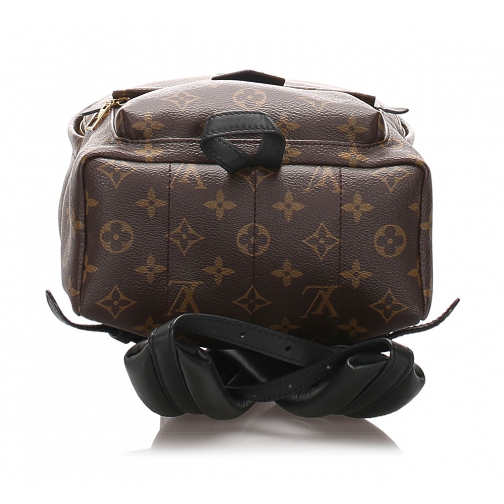 Palm springs leather backpack Louis Vuitton Brown in Leather - 26133590