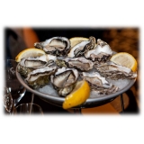 Wilde Wadoesters - Wild Oysters - 50 - Handpicked on the Wadden Sea - UNESCO World Heritage Site