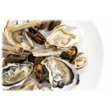 Wilde Wadoesters - Wild Oysters - 50 - Handpicked on the Wadden Sea - UNESCO World Heritage Site