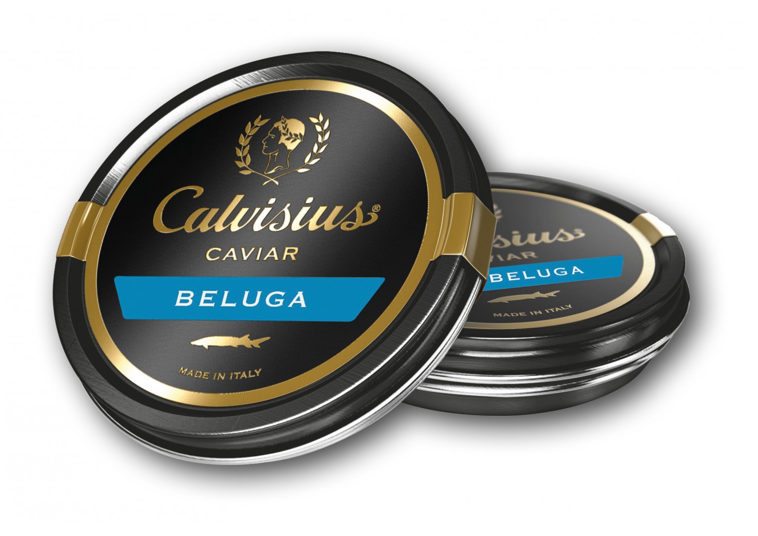 Calvisius Beluga
