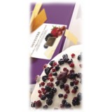 Vincente Delicacies - Panettone Coated with White Chocolate with Wild Fruits - Silvestre - Artisan in Metallic Box