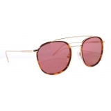No Logo Eyewear - NOL71003S Sun - Havana Pink - Sunglasses