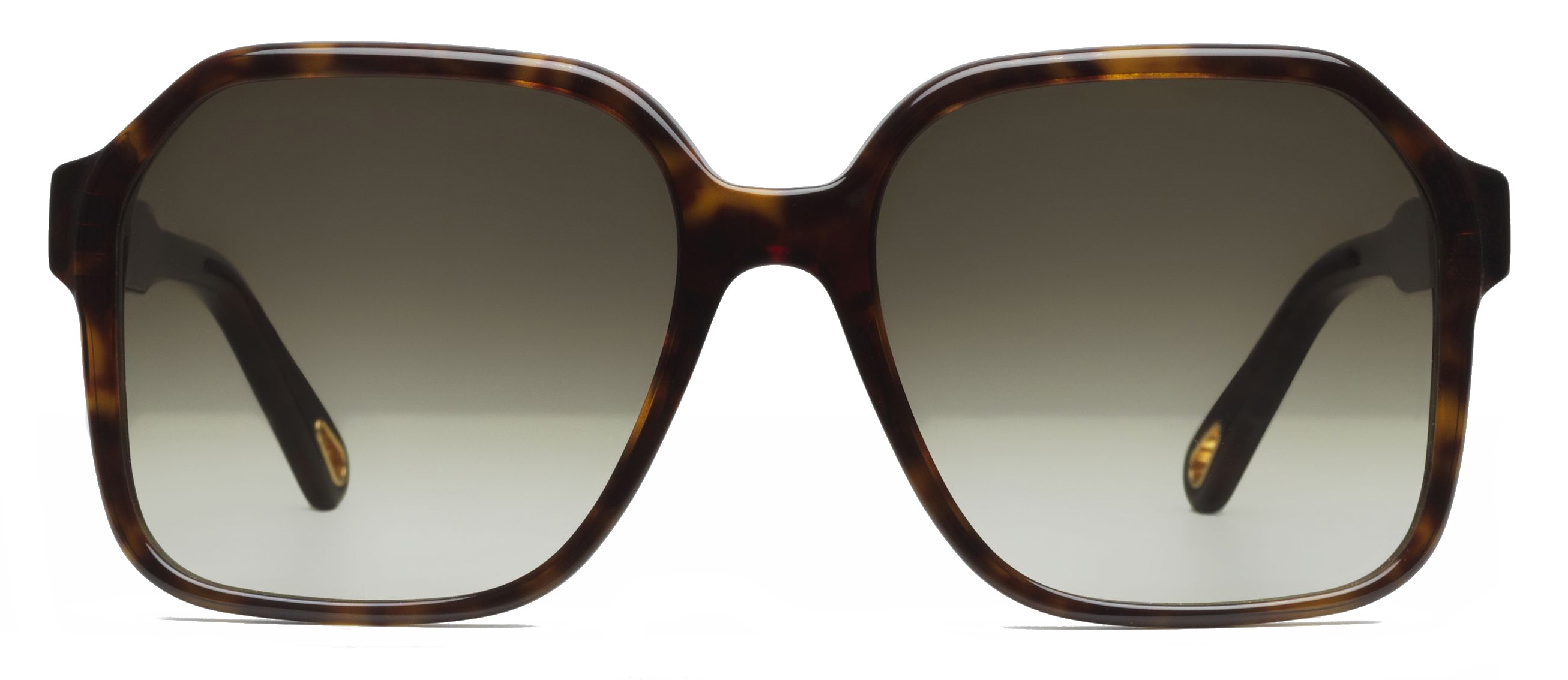 Chloe willow square hot sale sunglasses