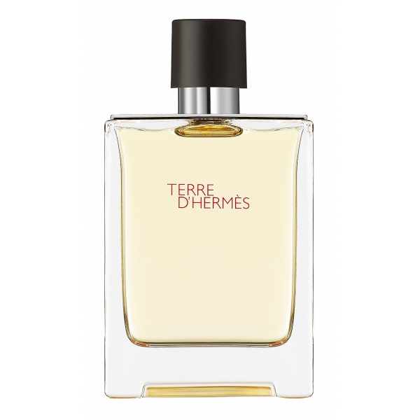 Hermès - Terre d'Hermes - Eau de Toilette - Luxury Fragrances - 100 ml