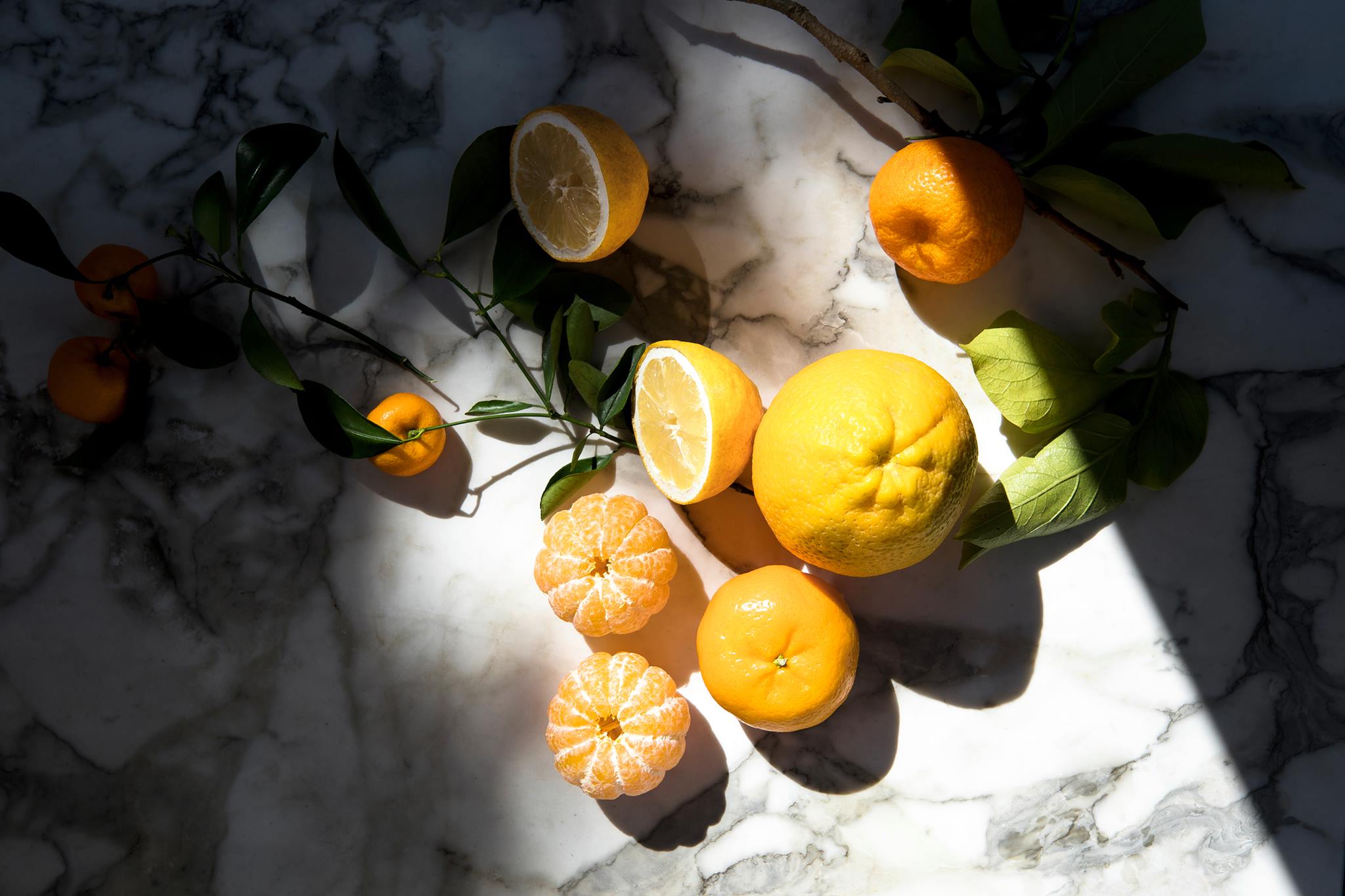 acqua di parma citrus