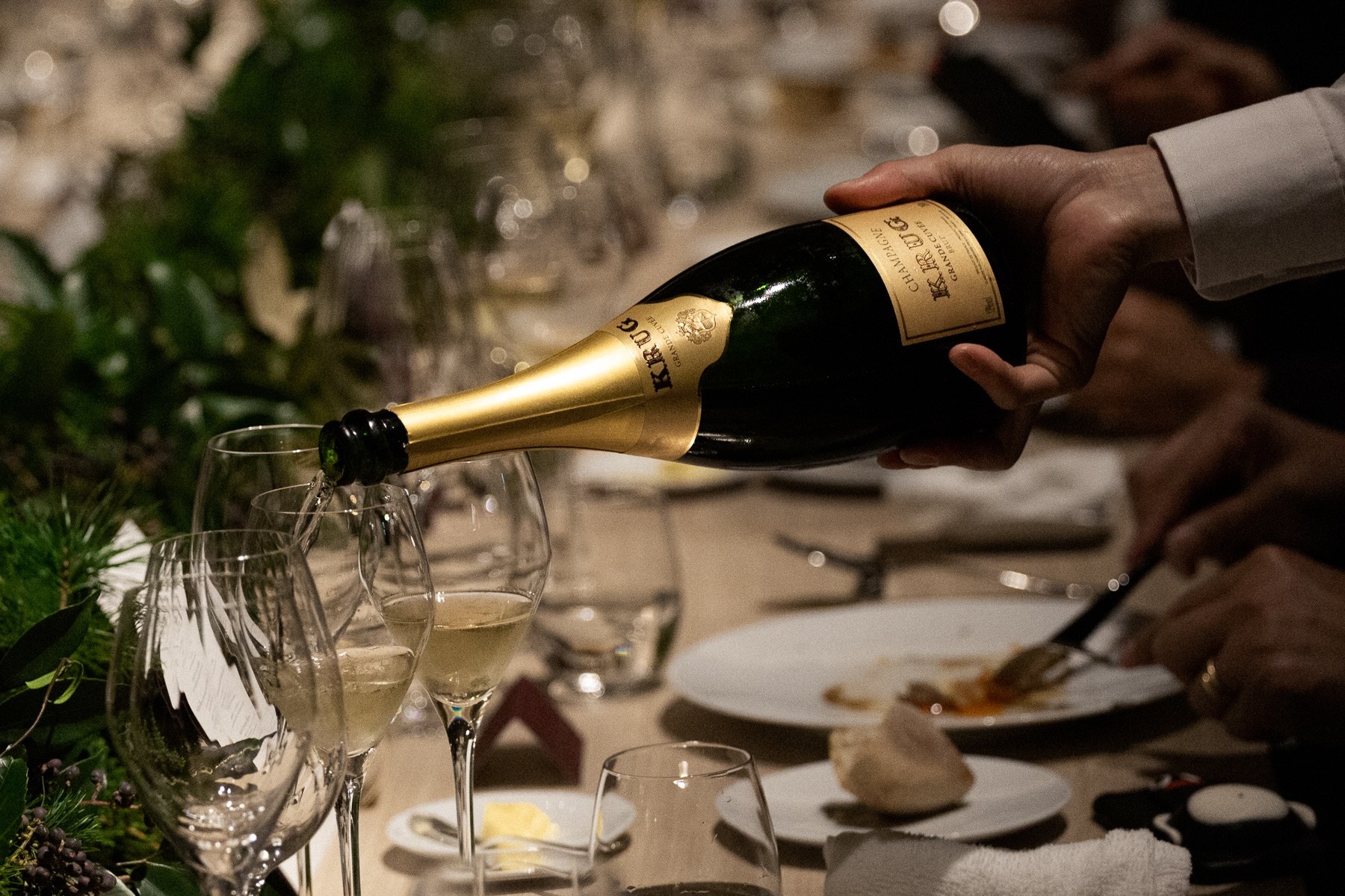 Krug Champagne - Avvenice