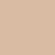 1C0 Shell - Cool Rosy Undertone